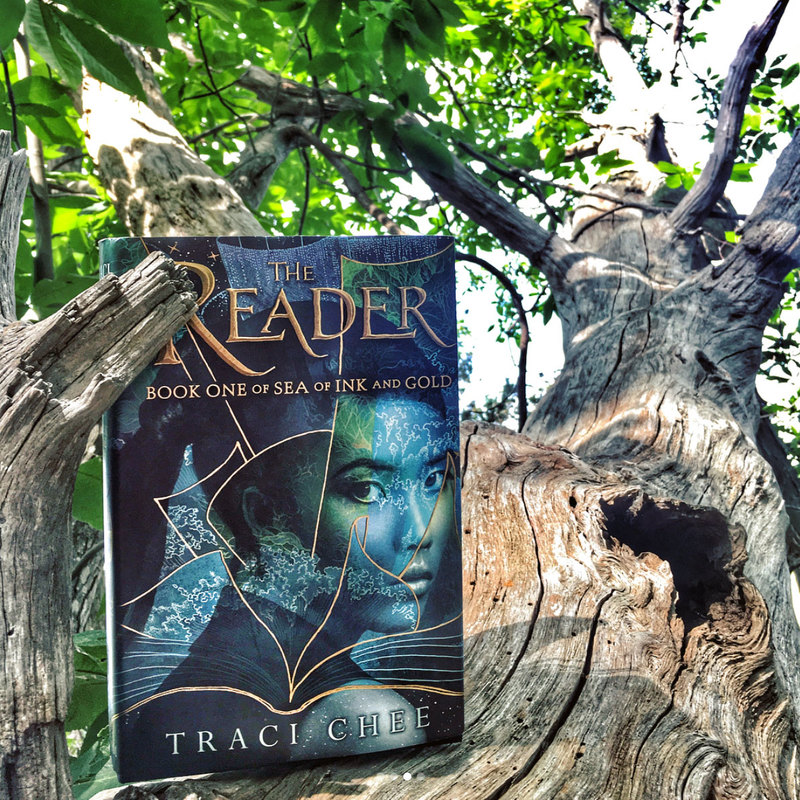 The Reader book is nestled in the gnarled branch of a tree
