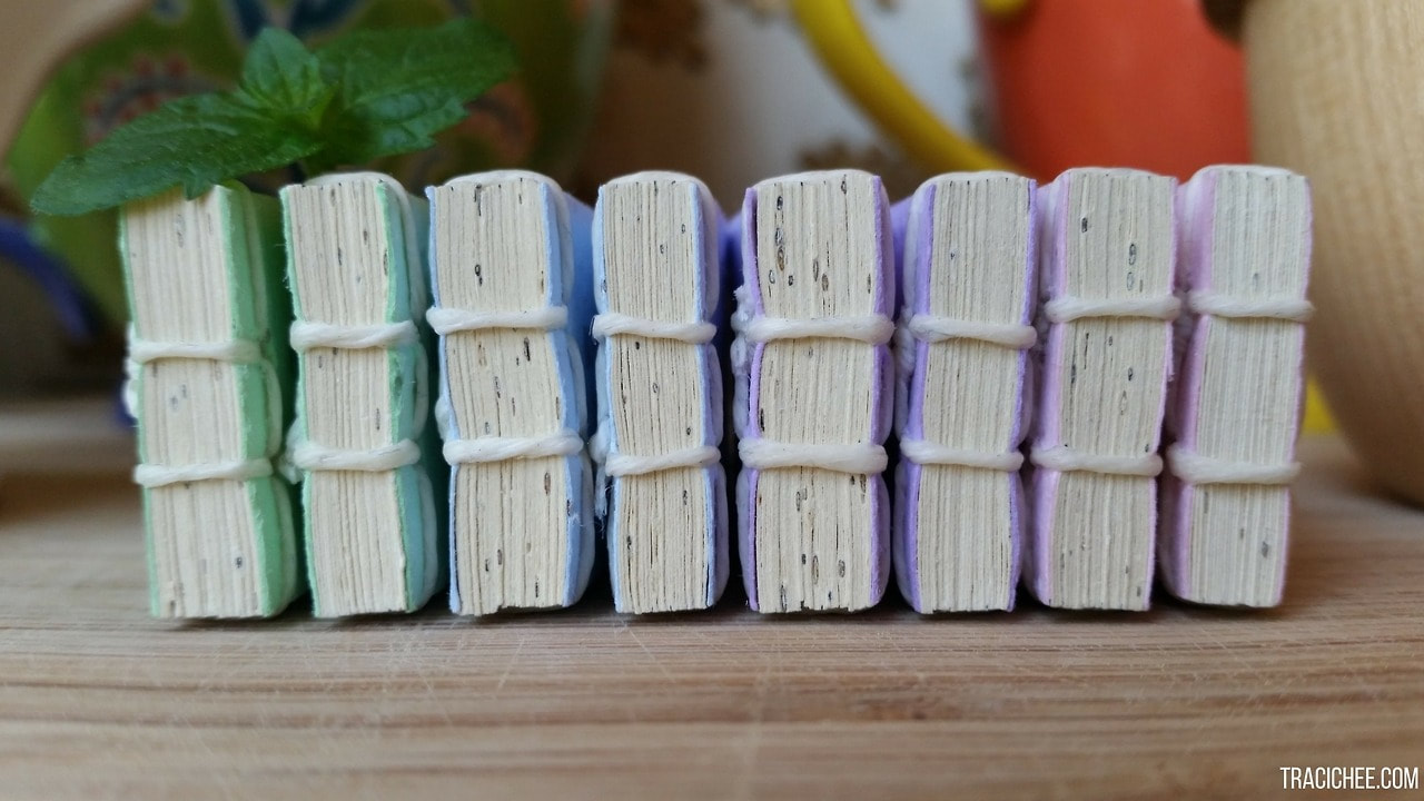 The spines of eight tiny handmade books all lined up.